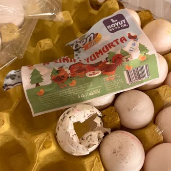 Kırık Ve Küflü Yumurtalarla Hayal Kırıklığı