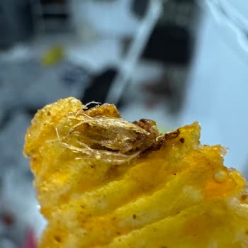 Ruffles Cips Paketinde Böcek Şoku