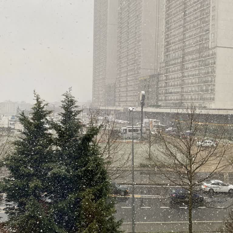 Atlantisnet İnternet Hizmetinde Hayal Kırıklığı: Kesintiler Ve İlgisizlik!