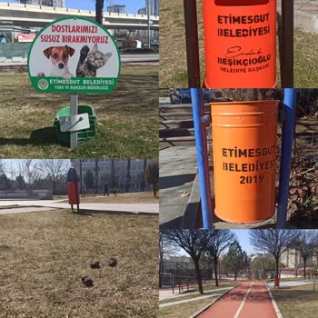 Etimesgut'ta Başıboş Köpek Sorunu Ve Belediyenin İlgisizliği