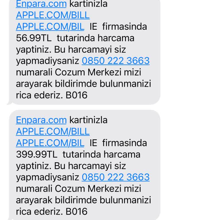 Apple.com'dan Yetkisiz Para Çekimi Ve İade Talebi