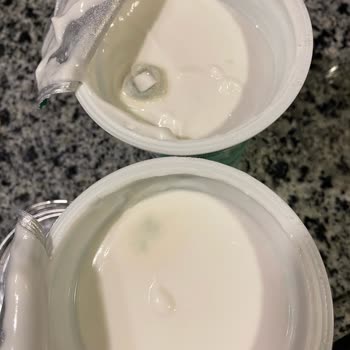 Küflü Yoğurtlar: Sağlığımız Tehlikede!