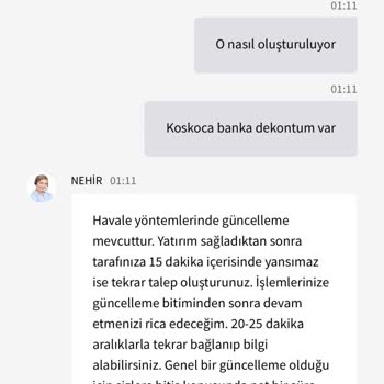 Yatırım İşlemleri Ve Kazanç Sorunları
