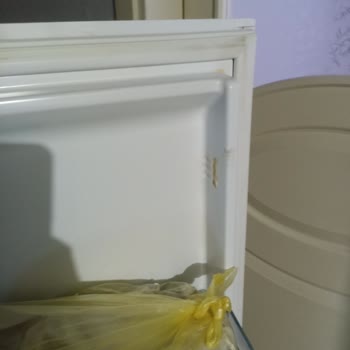 Vestel Buzdolabı Hayal Kırıklığı: Dayanıksız Parçalar Ve Servis Sorunları