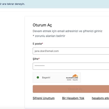 VFS Global Hesabına Giriş Sorunu Ve Çözüm Arayışı