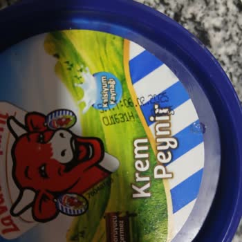 Krem Peynirde Şok Edici Küf Manzarası