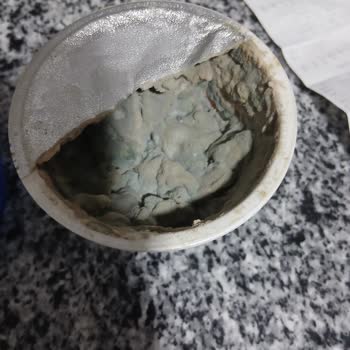 Krem Peynirde Şok Edici Küf Manzarası