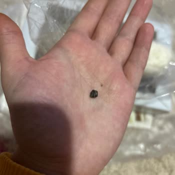 Tuğra Pişmaniyeden Taş Çıktı!