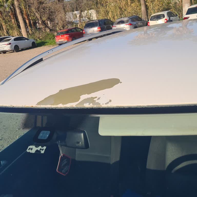 Volkswagen Tiguan'da Boya Kalkması Ve Değer Kaybı Sorunu