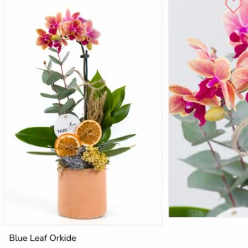 Çiçek Siparişi Kabusu: Yanıltıcı Görseller Ve İletişim Sorunları