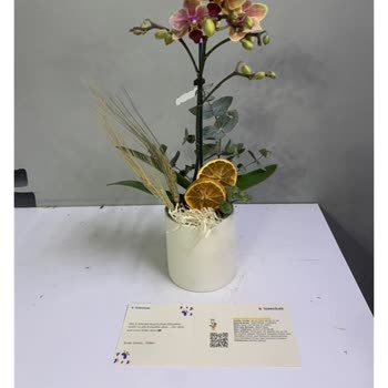 Çiçek Siparişi Kabusu: Yanıltıcı Görseller Ve İletişim Sorunları