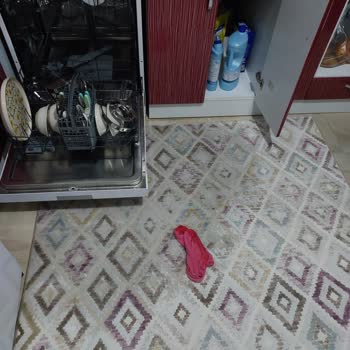 Regal Bulaşık Makinesi Su Sızıntısı Ve Servis Mağduriyeti