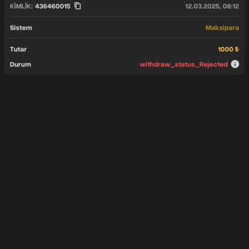 Haksız Bakiye Sıfırlama Sorunu