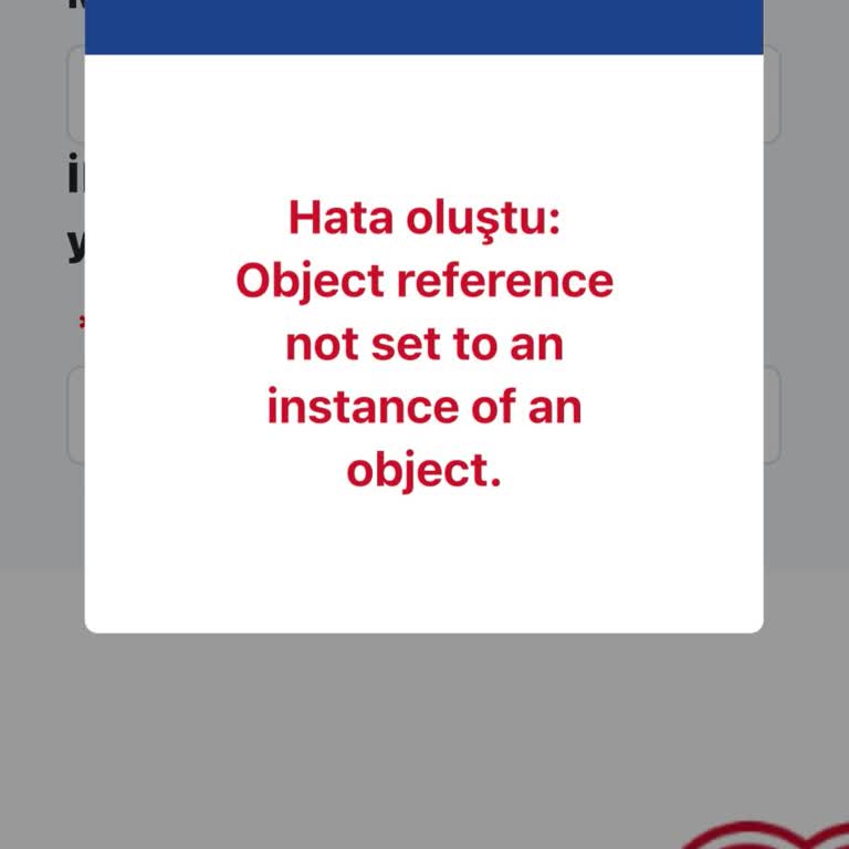 Evlilik Desteği Başvurusunda Web Sitesi Hatası