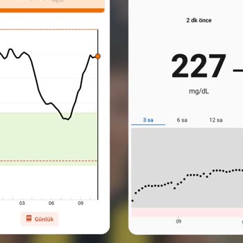 FreeStyle Libre 2 Sensor Shows Inaccurate Readings—Puts Health at Risk