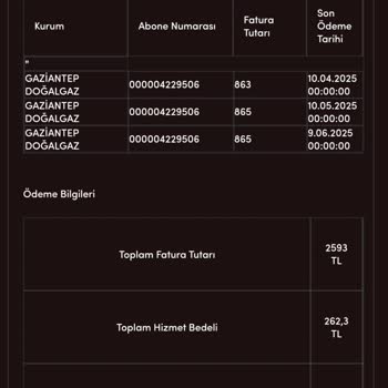 Ödenen Faturanın Sisteme Yansımaması