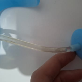 Munchkin Click-Lock Sippy Cup Grows Mold—Puts My Baby’s Health at Risk