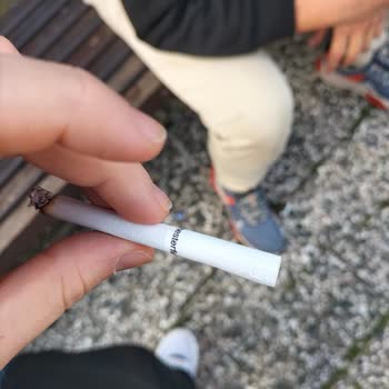 Chesterfield Sigara Filtre Kağıdı Ve İçeriği Sorunları