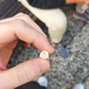 Chesterfield Sigara Filtre Kağıdı Ve İçeriği Sorunları