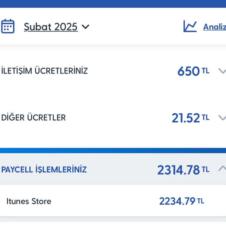 Faturada Bilgim Dışında Yansıtılan İtunes Ücretleri