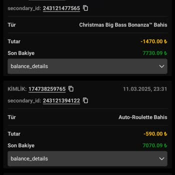 Hesap Kilitlenmesi Ve Bakiyenin Sıfırlanması