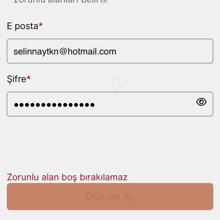 Randevu Kabusu: VFS Global'den Çıkış Yok!