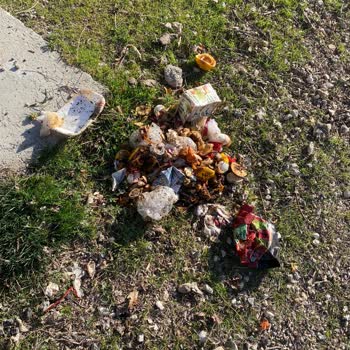 Çöp Konteyneri Sorunu Ve Haksız Muamele