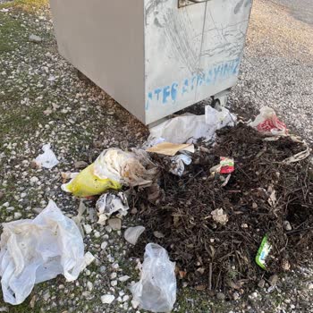 Çöp Konteyneri Sorunu Ve Haksız Muamele