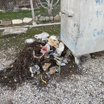 Çöp Konteyneri Sorunu Ve Haksız Muamele