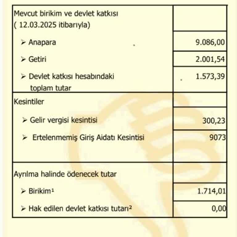 Katılım Emeklilik İle Yaşanan Büyük Hayal Kırıklığı