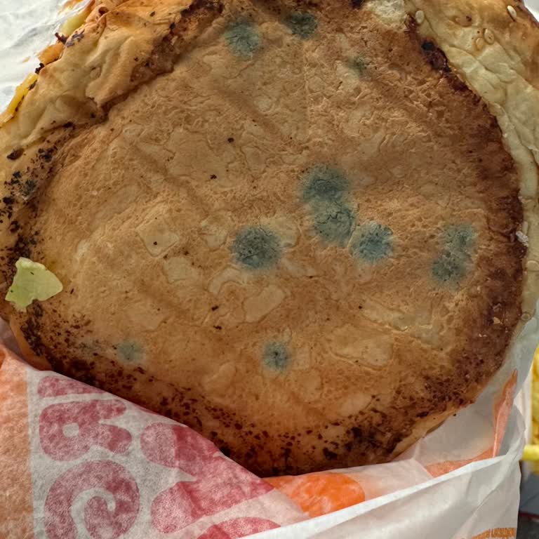 Burger King Küflü Ekmek Şoku: Hamile Müşteriye Büyük Hayal Kırıklığı!