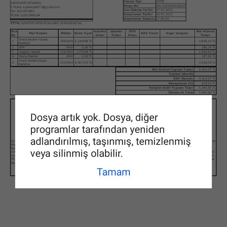 Elektrik Ödemesi Yapılmasına Rağmen Enerji Açılmıyor