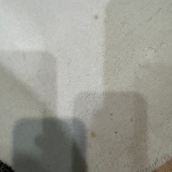 Halı Yıkamada Alerjik Sorun Ve Saygısız Hizmet