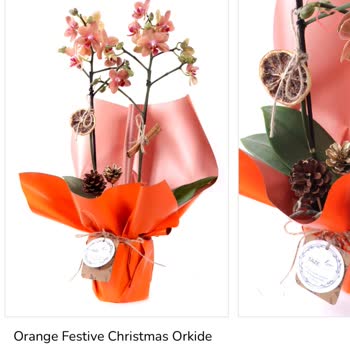 Görsel Ve Gerçek Arasında Uçurum: Hayal Kırıklığına Uğratan Çiçek Siparişi