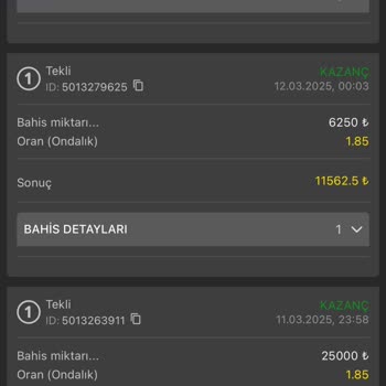 Betriyal Bahis Sitesinde Çekim Sorunu