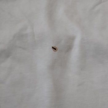 Yanlış Ve Lekeli Ürün Teslimatı