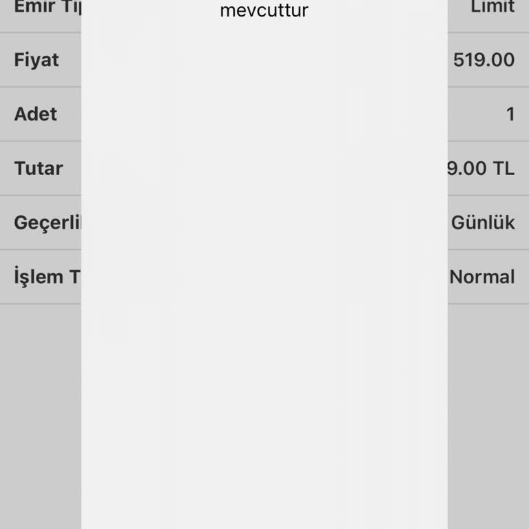 ING Trader Uygulamasında Hisse Alım Sorunu