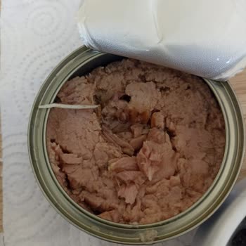 Ton Balığında Kılçık Şoku