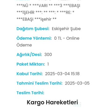 Kargo Teslimatındaki Gecikme Sorunu