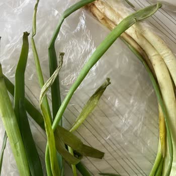 Çürük Ürünler Ve İlgisiz Müşteri Hizmetleri