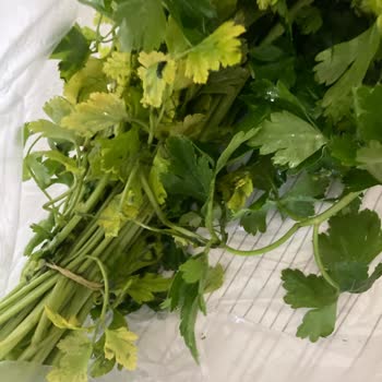 Çürük Ürünler Ve İlgisiz Müşteri Hizmetleri