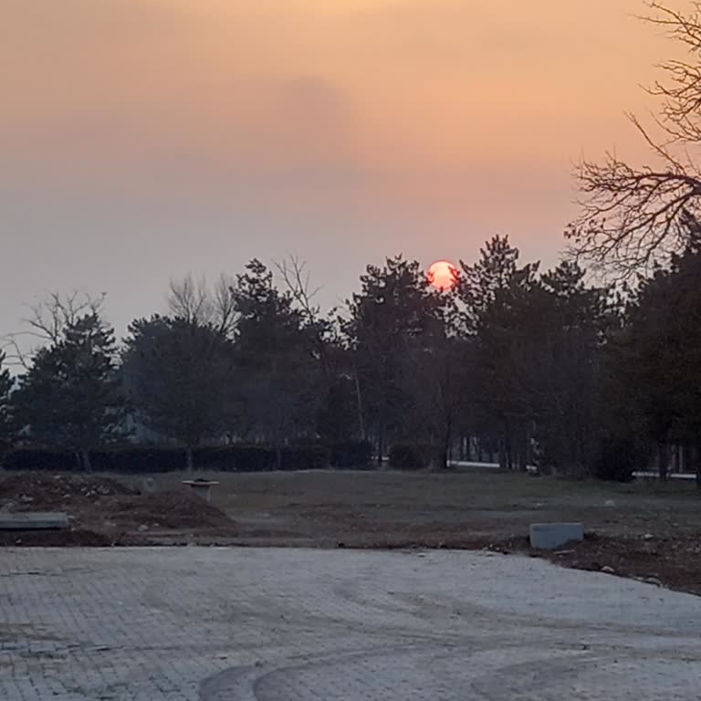 Ziraat Bankası Şube Değişikliği Ve İletişim Sorunları