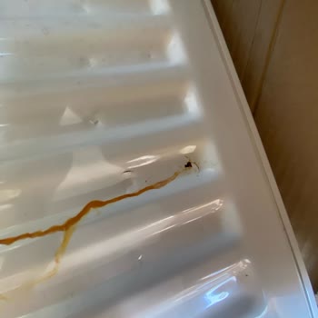 ECA Kalorifer Petekleri: Beklenmedik Patlama Ve Hayal Kırıklığı