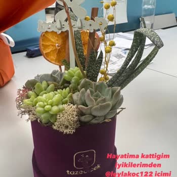 Çiçek Siparişi Hayal Kırıklığı: Rezil Oldum!