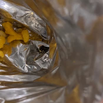 Üründe Bulunan Yabancı Madde Ve İletişim Sorunları