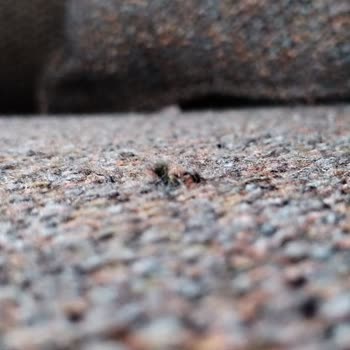 Mondi Home'dan Aldığım Defolu Koltuk Takımıyla Yaşadığım Hayal Kırıklığı