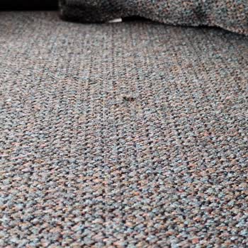 Mondi Home'dan Aldığım Defolu Koltuk Takımıyla Yaşadığım Hayal Kırıklığı