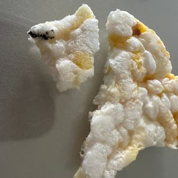 Mısır Patlağında Arı Ölüsü Şoku!