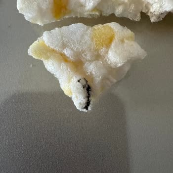 Mısır Patlağında Arı Ölüsü Şoku!