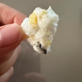 Mısır Patlağında Arı Ölüsü Şoku!